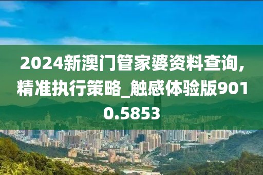 2024新澳门管家婆资料查询,精准执行策略_触感体验版9010.5853