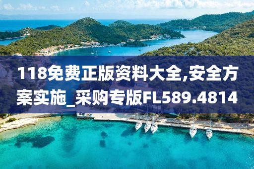 118免费正版资料大全,安全方案实施_采购专版FL589.4814
