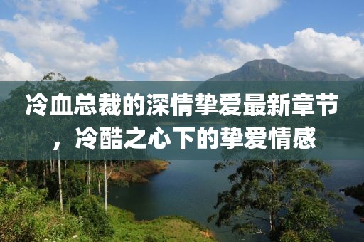 冷血总裁的深情挚爱最新章节，冷酷之心下的挚爱情感