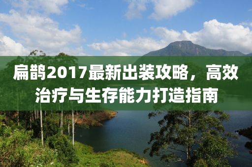 扁鹊2017最新出装攻略，高效治疗与生存能力打造指南