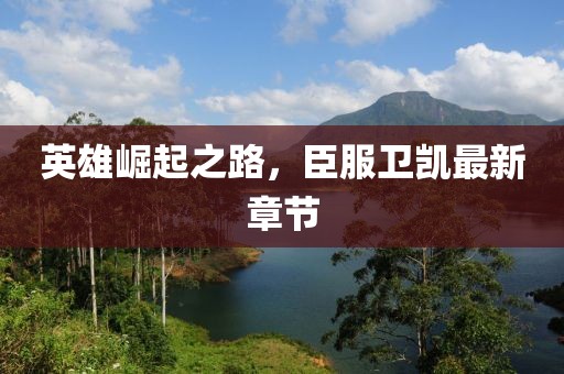英雄崛起之路，臣服卫凯最新章节