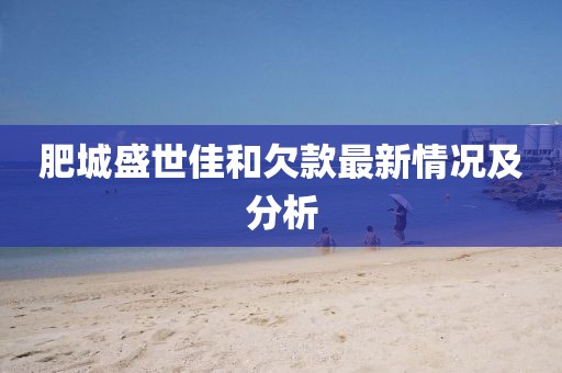 肥城盛世佳和欠款最新情况及分析