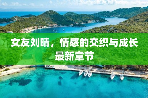 女友刘晴，情感的交织与成长最新章节