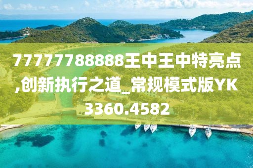 77777788888王中王中特亮点,创新执行之道_常规模式版YK3360.4582