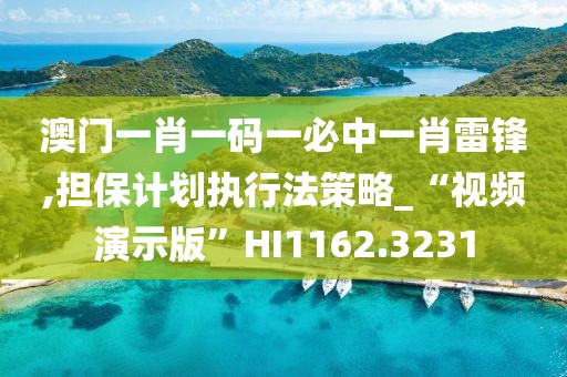 澳门一肖一码一必中一肖雷锋,担保计划执行法策略_“视频演示版”HI1162.3231