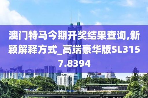 澳门特马今期开奖结果查询,新颖解释方式_高端豪华版SL3157.8394