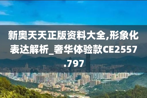 新奥天天正版资料大全,形象化表达解析_奢华体验款CE2557.797
