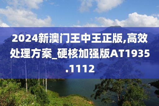 2024新澳门王中王正版,高效处理方案_硬核加强版AT1935.1112