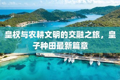 租车手续 第785页