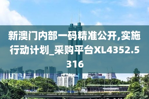 新澳门内部一码精准公开,实施行动计划_采购平台XL4352.5316