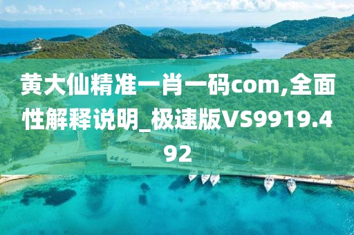 黄大仙精准一肖一码com,全面性解释说明_极速版VS9919.492