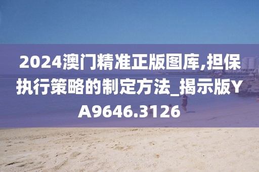 2024澳门精准正版图库,担保执行策略的制定方法_揭示版YA9646.3126