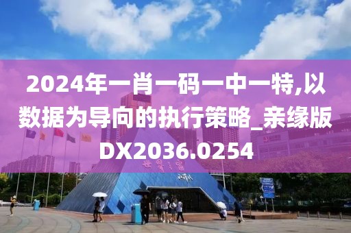 2024年一肖一码一中一特,以数据为导向的执行策略_亲缘版DX2036.0254