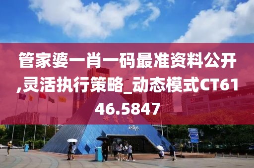 管家婆一肖一码最准资料公开,灵活执行策略_动态模式CT6146.5847