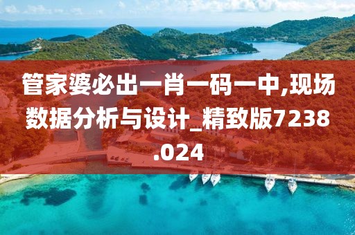 管家婆必出一肖一码一中,现场数据分析与设计_精致版7238.024