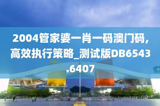 2004管家婆一肖一码澳门码,高效执行策略_测试版DB6543.6407