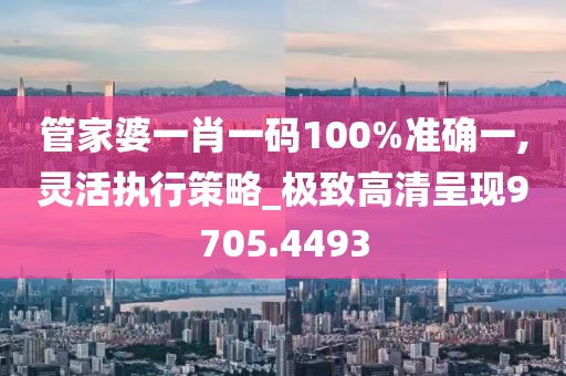 管家婆一肖一码100%准确一,灵活执行策略_极致高清呈现9705.4493