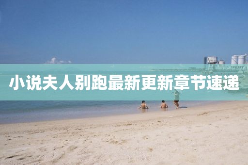 小说夫人别跑最新更新章节速递