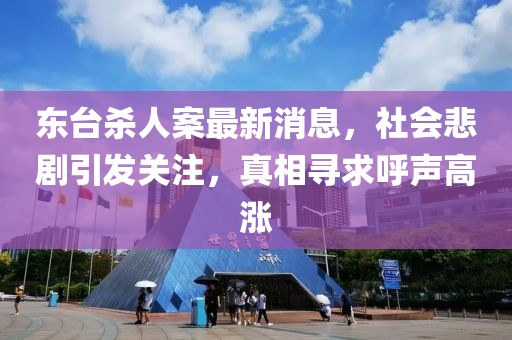 东台杀人案最新消息，社会悲剧引发关注，真相寻求呼声高涨