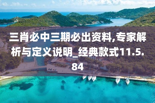 三肖必中三期必出资料,专家解析与定义说明_经典款式11.5.84