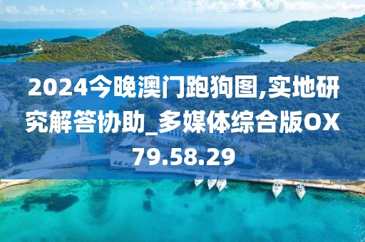 2024今晚澳门跑狗图,实地研究解答协助_多媒体综合版OX79.58.29