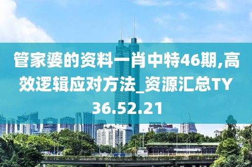 管家婆的资料一肖中特46期,高效逻辑应对方法_资源汇总TY36.52.21