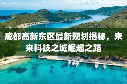 成都高新东区最新规划揭秘，未来科技之城崛起之路