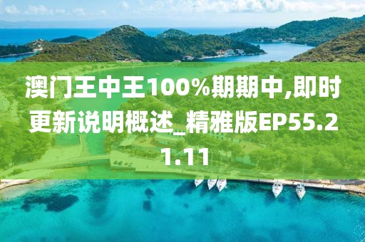 澳门王中王100%期期中,即时更新说明概述_精雅版EP55.21.11