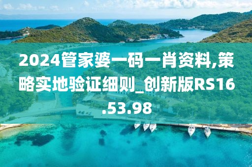 2024管家婆一码一肖资料,策略实地验证细则_创新版RS16.53.98