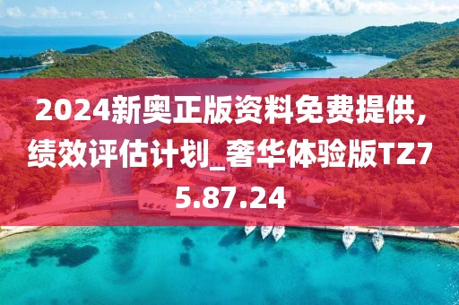 2024新奥正版资料免费提供,绩效评估计划_奢华体验版TZ75.87.24