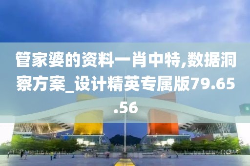 管家婆的资料一肖中特,数据洞察方案_设计精英专属版79.65.56