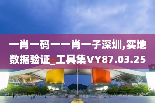 一肖一码一一肖一子深圳,实地数据验证_工具集VY87.03.25