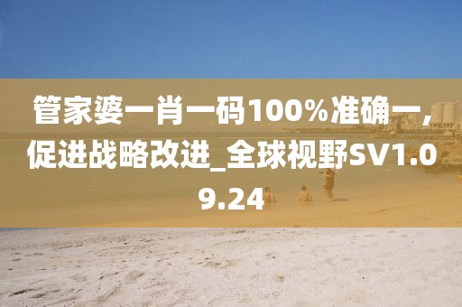 管家婆一肖一码100%准确一,促进战略改进_全球视野SV1.09.24