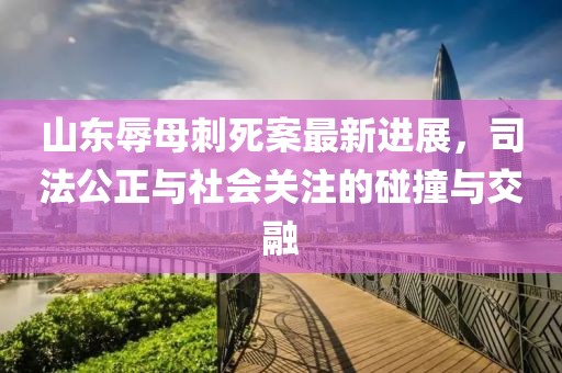 山东辱母刺死案最新进展，司法公正与社会关注的碰撞与交融