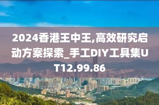 2024香港王中王,高效研究启动方案探索_手工DIY工具集UT12.99.86