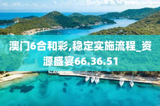 澳门6合和彩,稳定实施流程_资源盛宴66.36.51