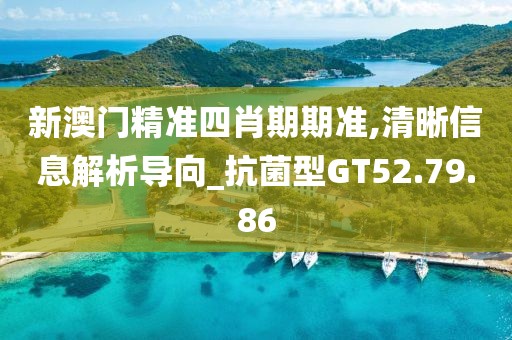 新澳门精准四肖期期准,清晰信息解析导向_抗菌型GT52.79.86