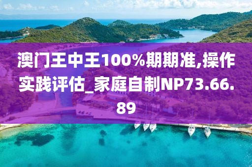 澳门王中王100%期期准,操作实践评估_家庭自制NP73.66.89
