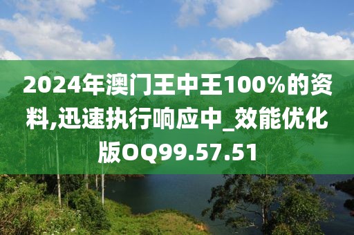 2024年澳门王中王100%的资料,迅速执行响应中_效能优化版OQ99.57.51