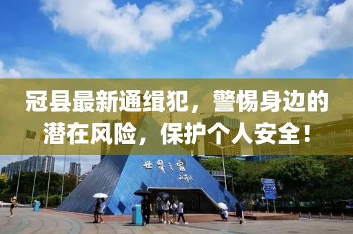 花开无言 第33页