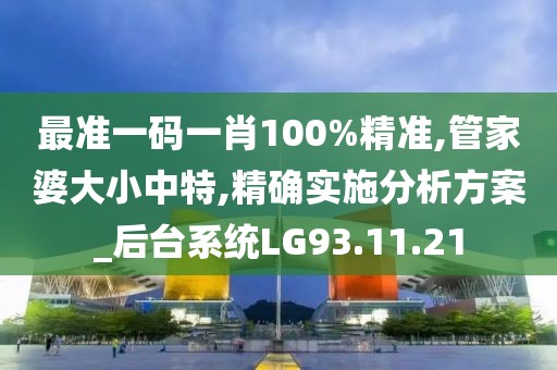 最准一码一肖100%精准,管家婆大小中特,精确实施分析方案_后台系统LG93.11.21
