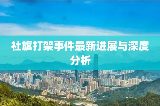 社旗打架事件最新进展与深度分析