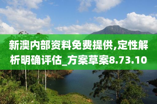 新澳内部资料免费提供,定性解析明确评估_方案草案8.73.10