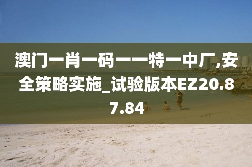澳门一肖一码一一特一中厂,安全策略实施_试验版本EZ20.87.84