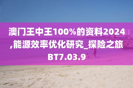澳门王中王100%的资料2024,能源效率优化研究_探险之旅BT7.03.9