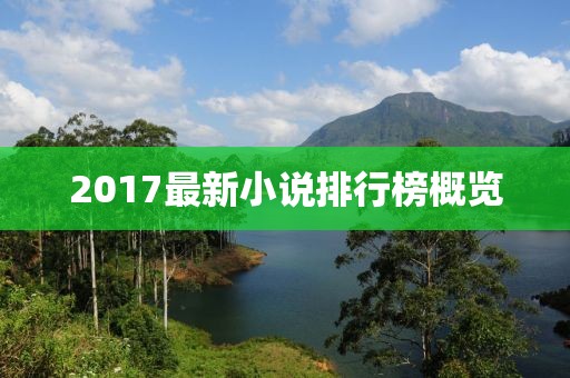 2017最新小说排行榜概览