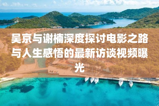 吴京与谢楠深度探讨电影之路与人生感悟的最新访谈视频曝光