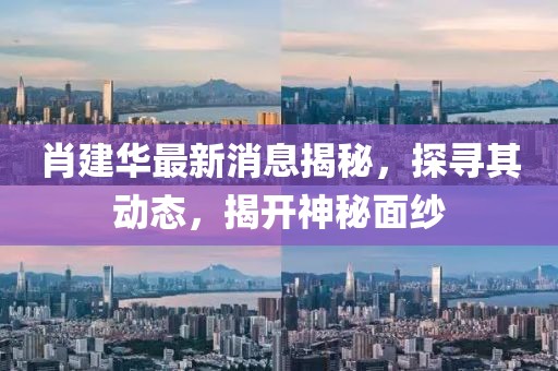 肖建华最新消息揭秘，探寻其动态，揭开神秘面纱