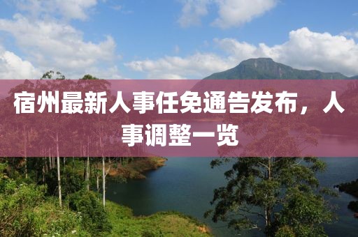 宿州最新人事任免通告发布，人事调整一览