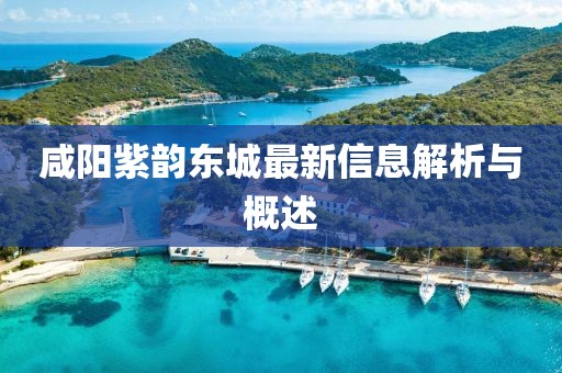 咸阳紫韵东城最新信息解析与概述